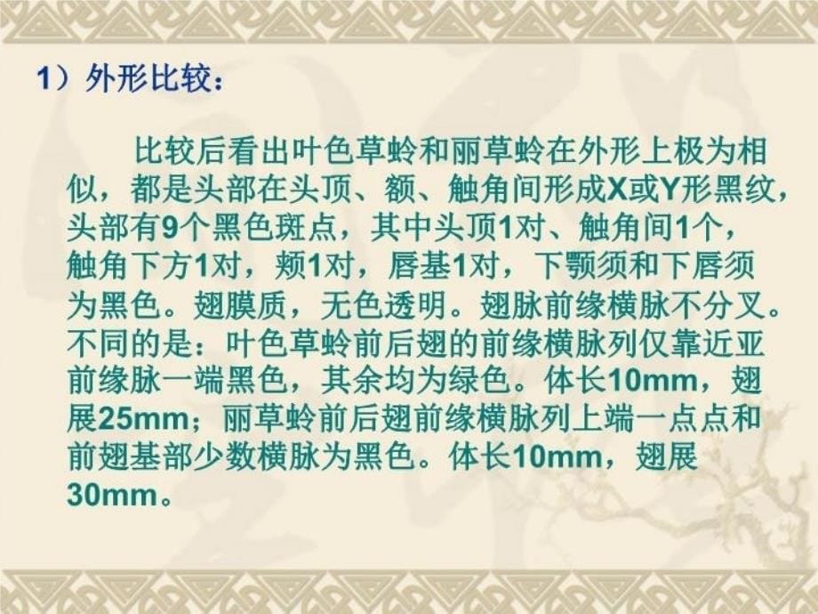 最新叶色草蛉和丽草蛉的比较鉴别精品课件_第5页