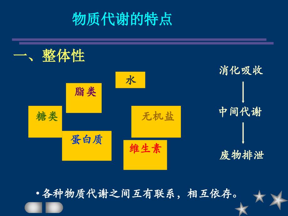 代谢的相互联系及调控_第2页