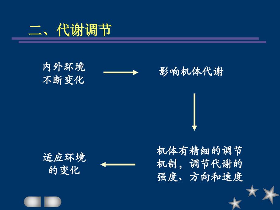 代谢的相互联系及调控_第3页