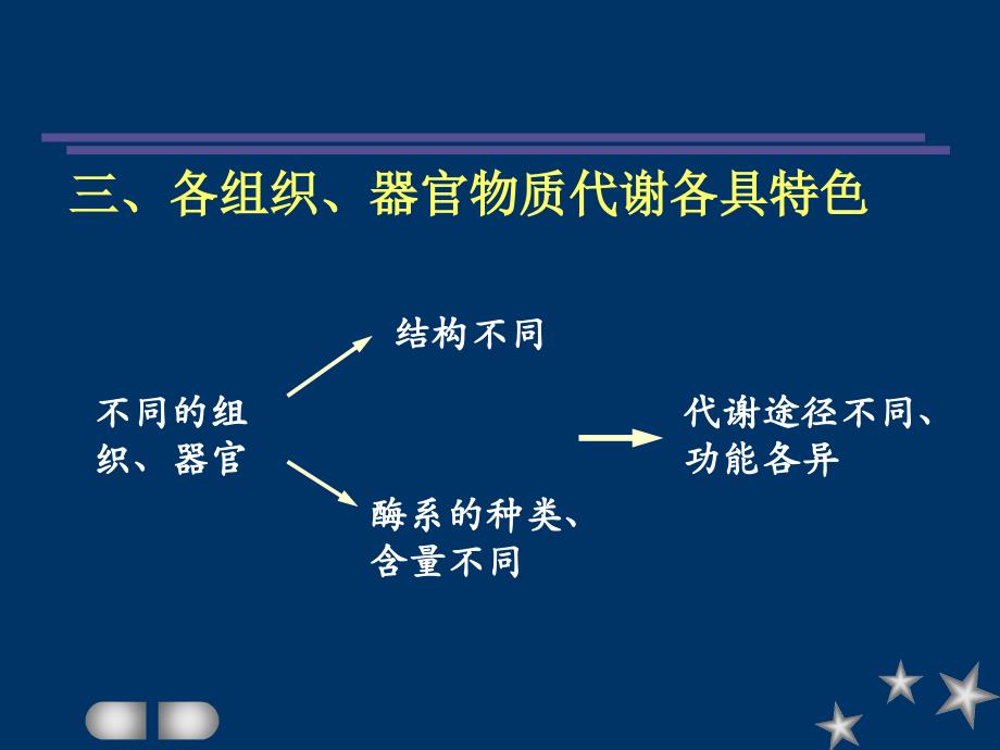 代谢的相互联系及调控_第4页