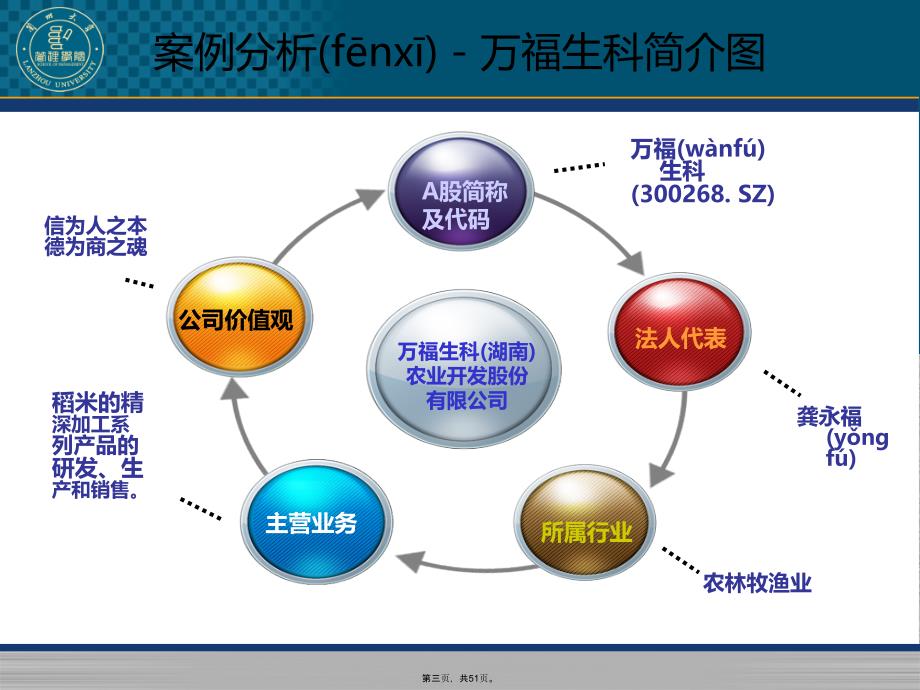 万福生科财务造假案例分析(兰州大学)...教学文案_第3页