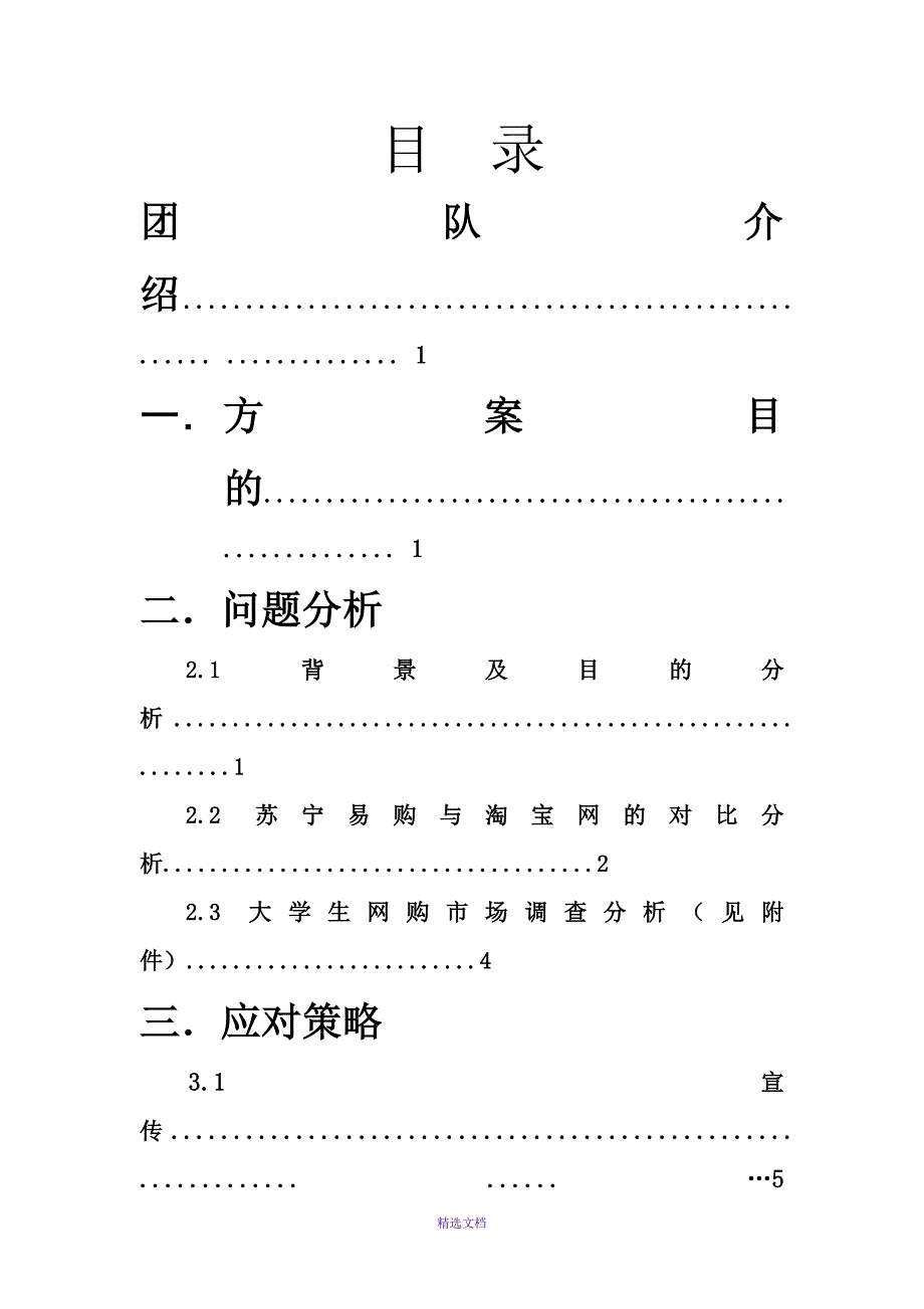 kiwi苏宁易购宣传方案_第2页