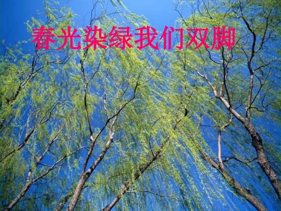 《春光染绿我们双脚》课件_第1页