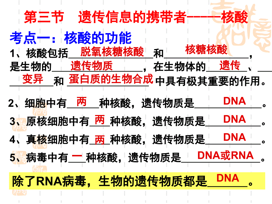 一轮复习遗传信息的携带者核酸使用版_第3页