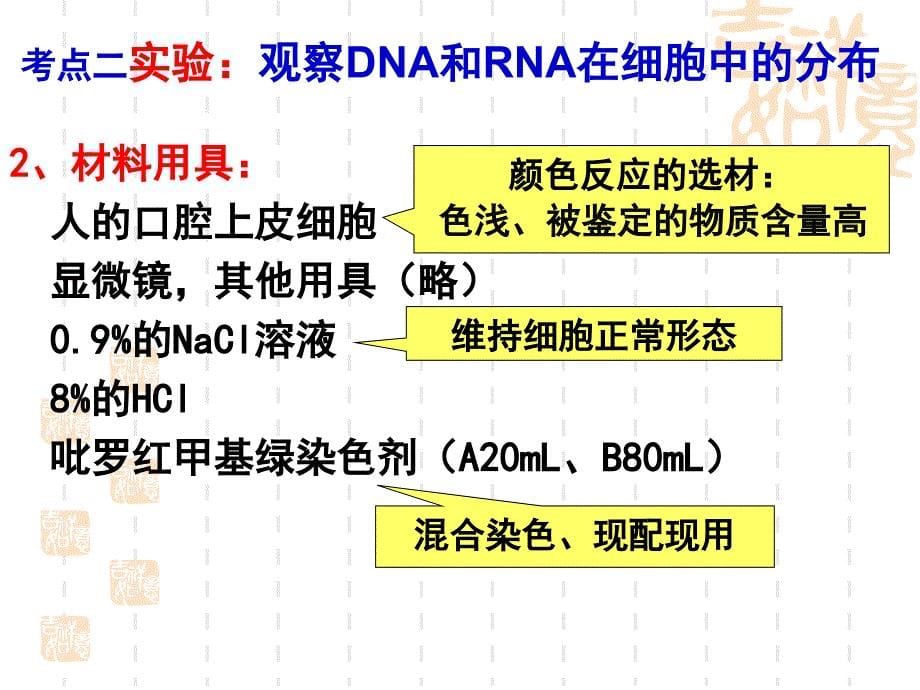 一轮复习遗传信息的携带者核酸使用版_第5页