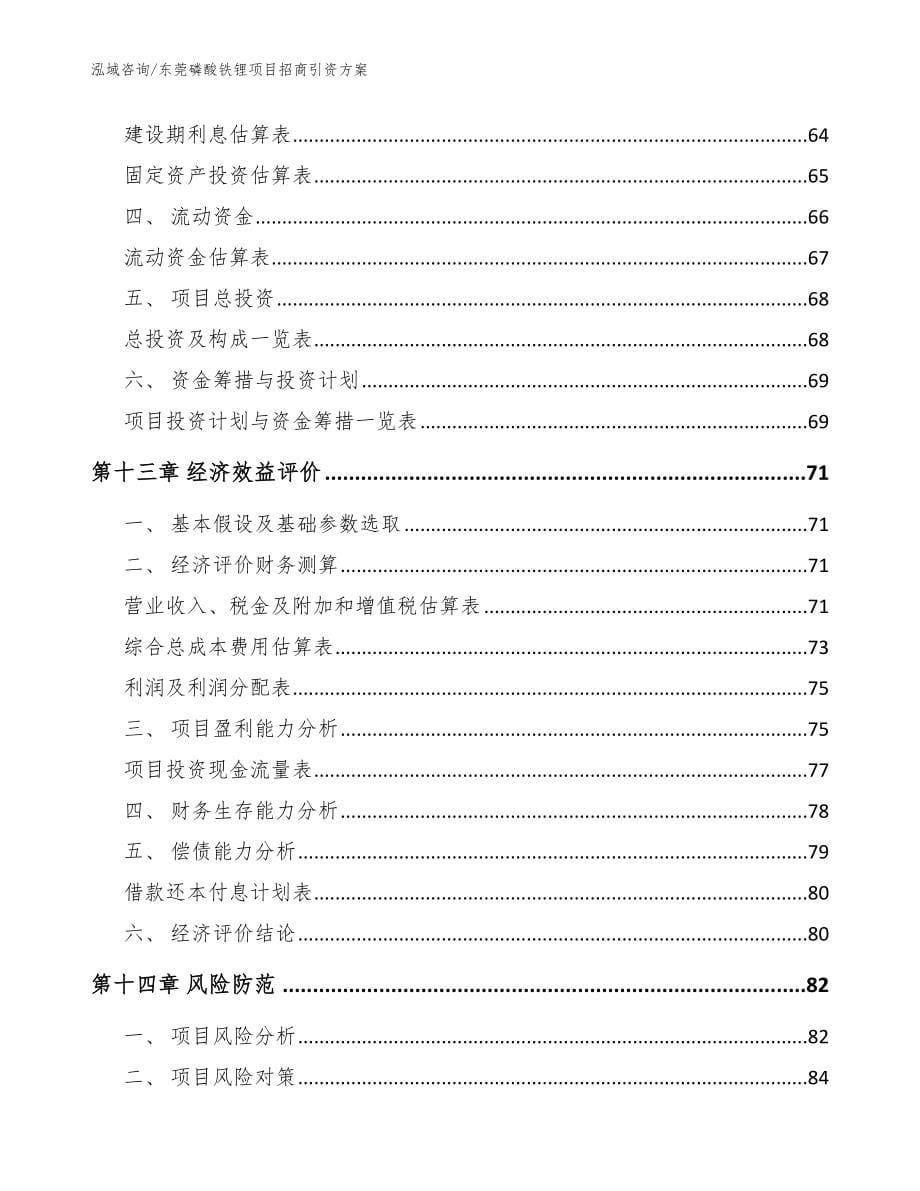 东莞磷酸铁锂项目招商引资方案_第5页