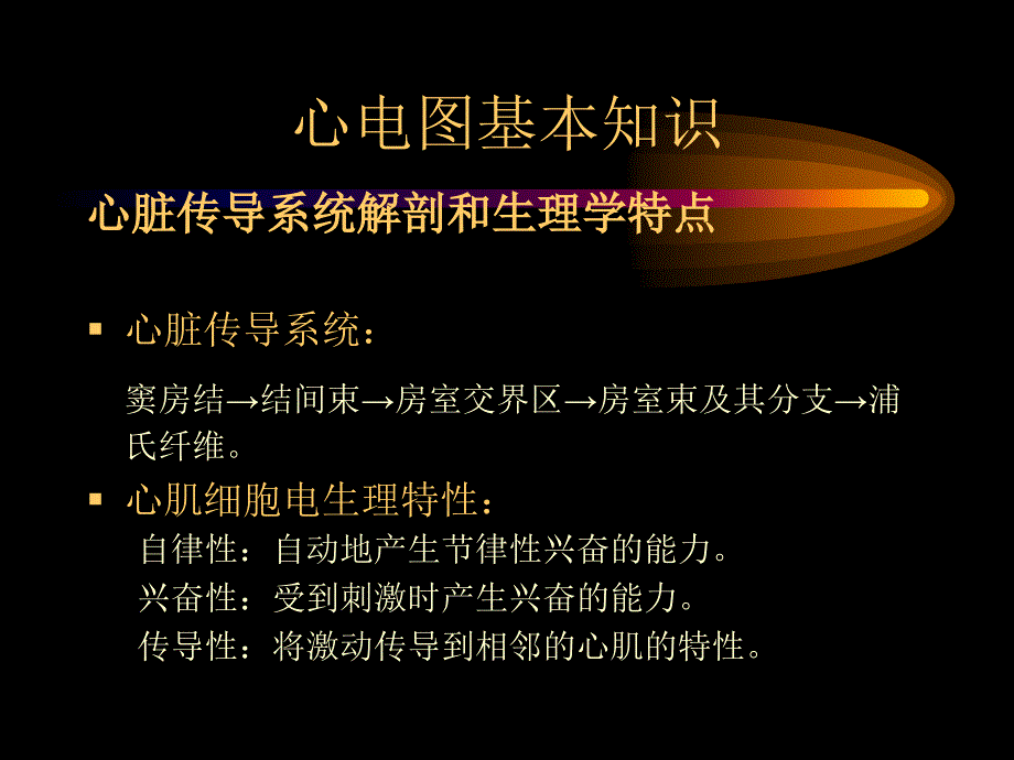 心电图诊断学_第3页