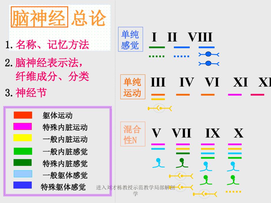 进入刘才栋教授示范教学局部解剖学课件_第3页