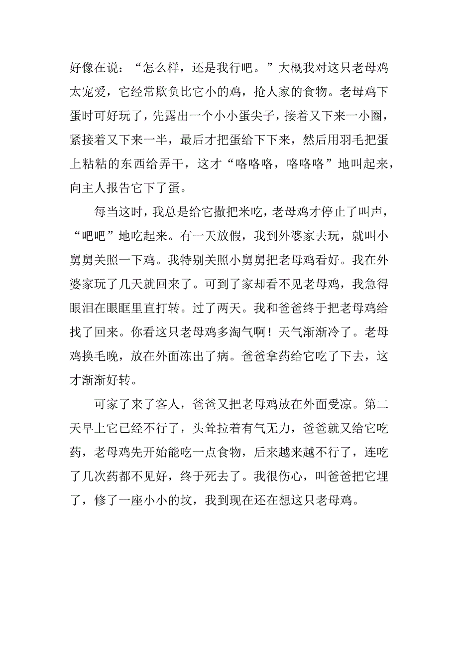 我家的鸡作文3篇(关于我家的小鸡的作文)_第4页