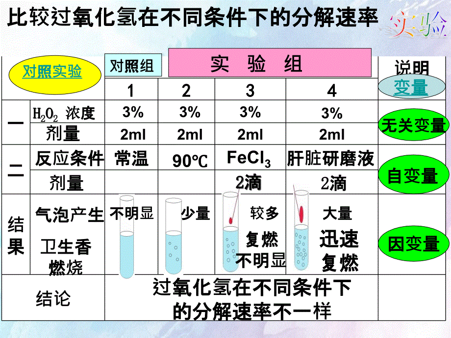 高一生物降低化学反应活化能的酶教案_第4页