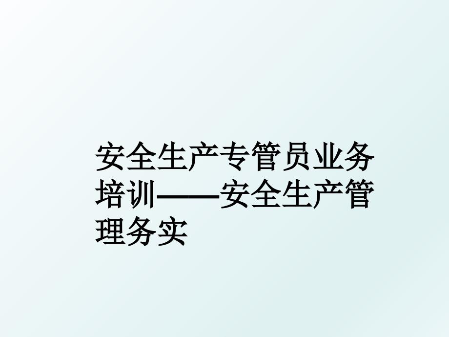 安全生产专管员业务培训安全生产务实_第1页