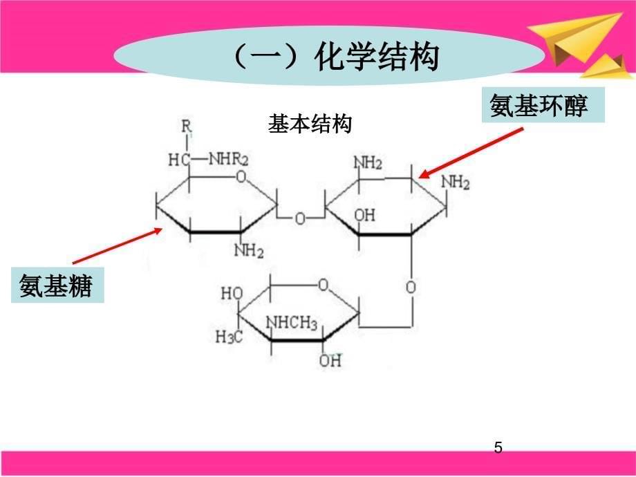 氨基糖苷类四环素类与氯霉素_第5页