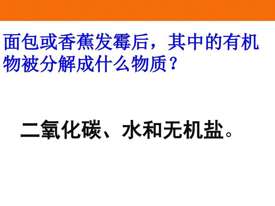 细菌和真菌在自然界中的作用-(2)课件_第5页