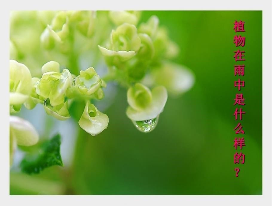 湘美版一年级美术下册《小雨沙沙》课件_第5页