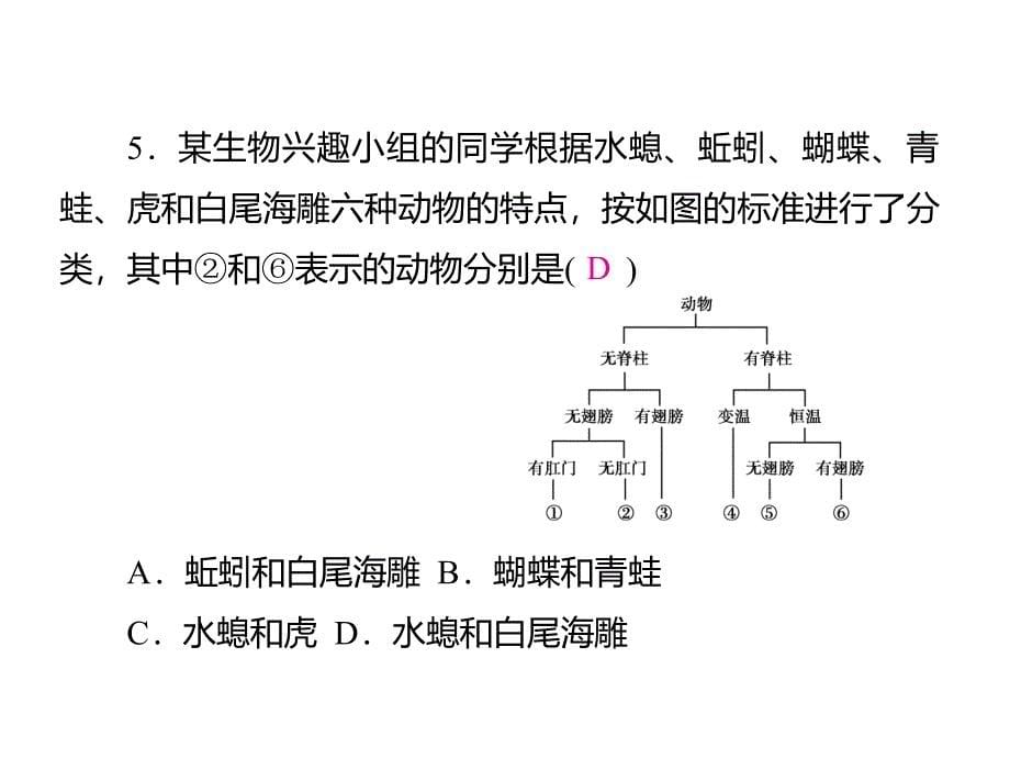 中考生物总复习课件中考仿真测试卷五_第5页