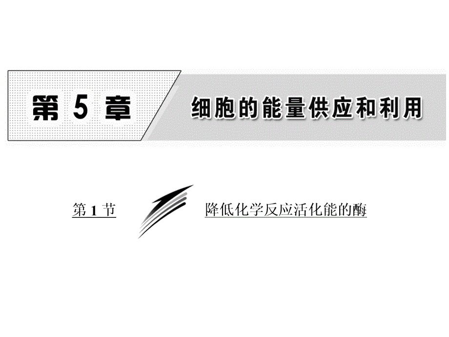 第5章第1节 降低化学反应活化能的酶_第1页