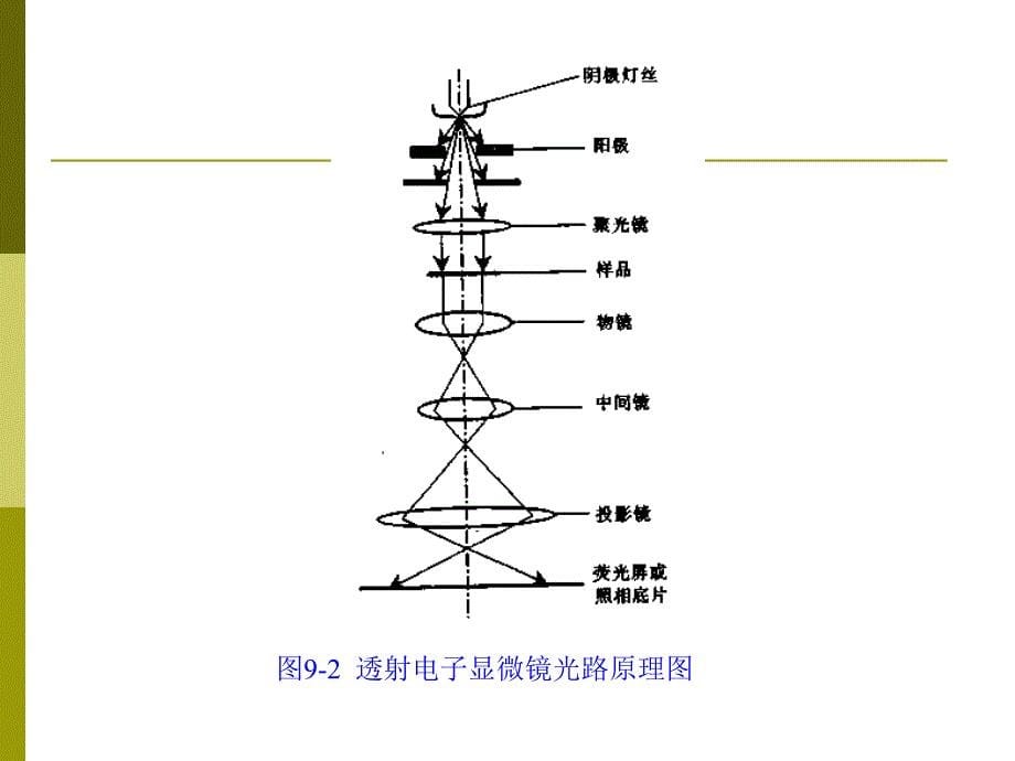 二十二章透射电子显微分析_第5页