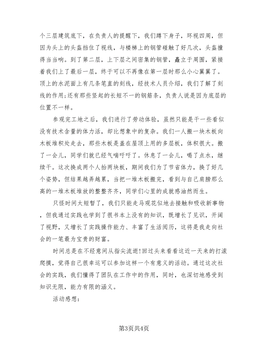 2023年社会实践活动总结模板（2篇）.doc_第3页