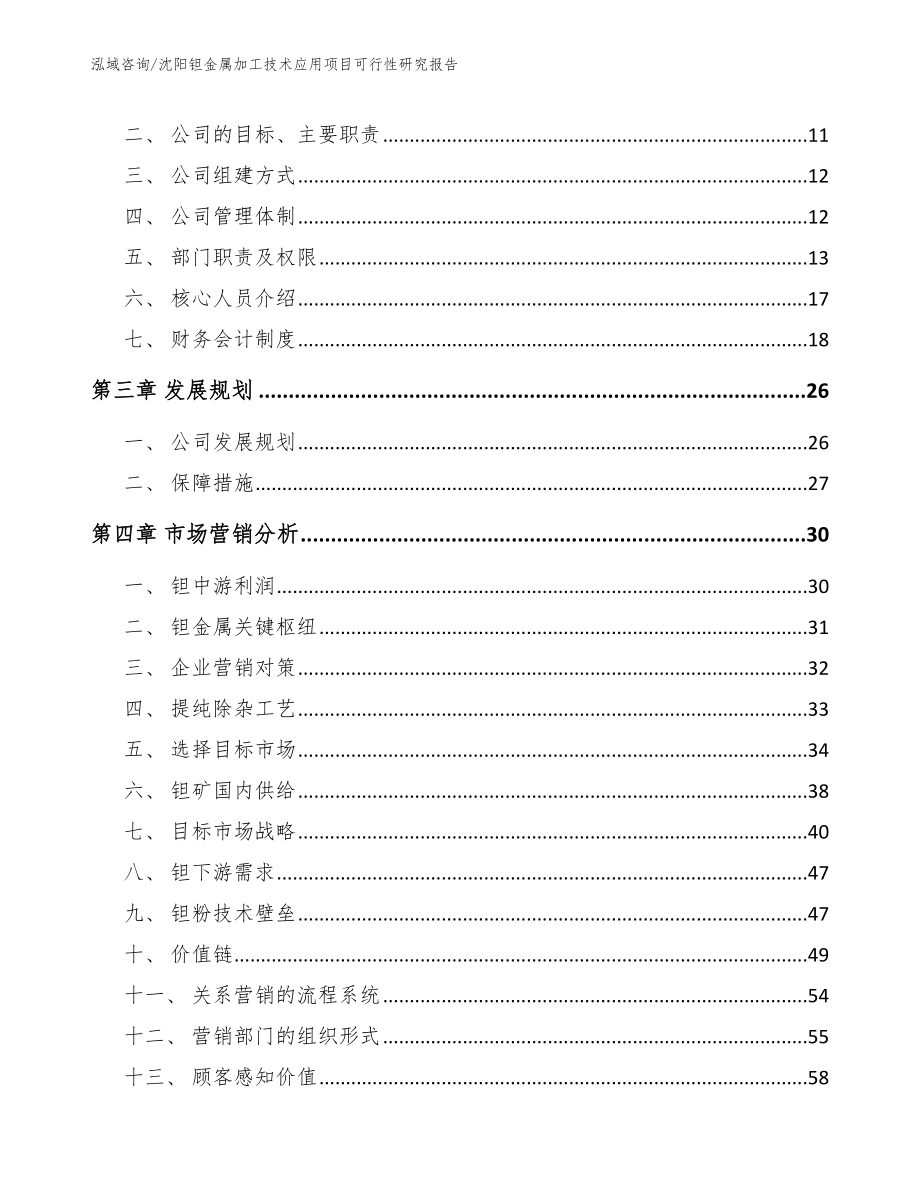 沈阳钽金属加工技术应用项目可行性研究报告【模板范文】_第3页