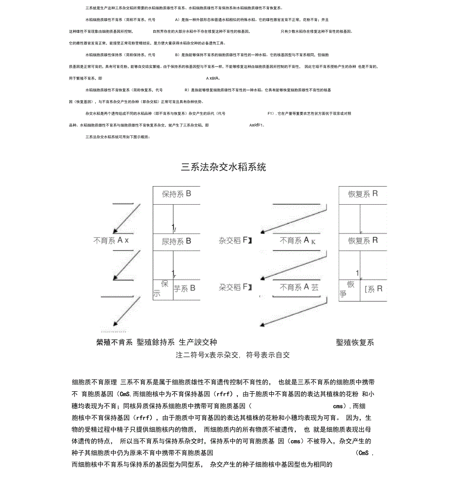 三系杂交原理_第1页