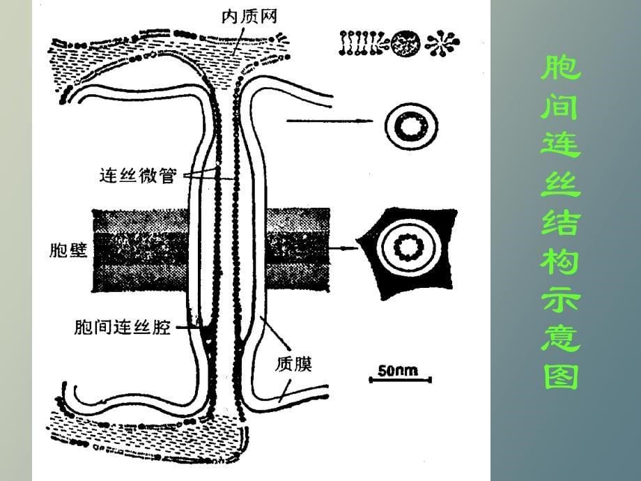 物质运输分配_第5页