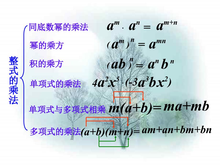 整式的乘法和乘法公式_复习课课件_第3页