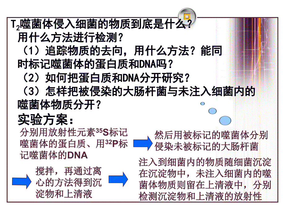 噬菌体侵染细菌的实验探究性上法_第4页