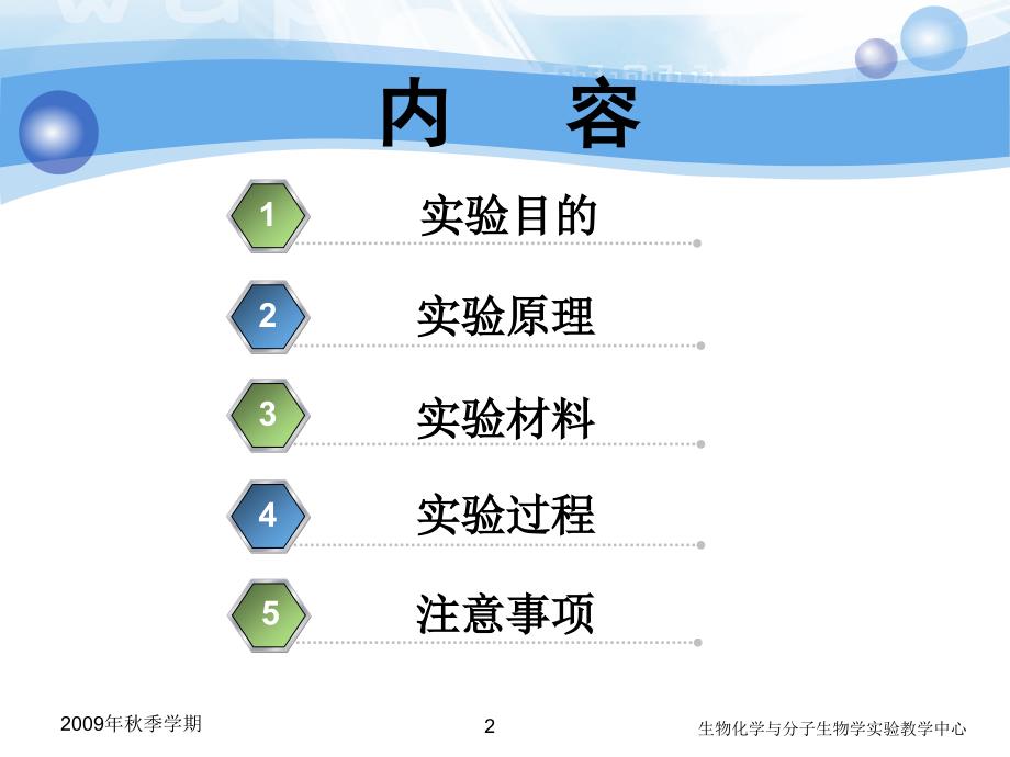 hxj血清清、球蛋白分离新.ppt_第2页