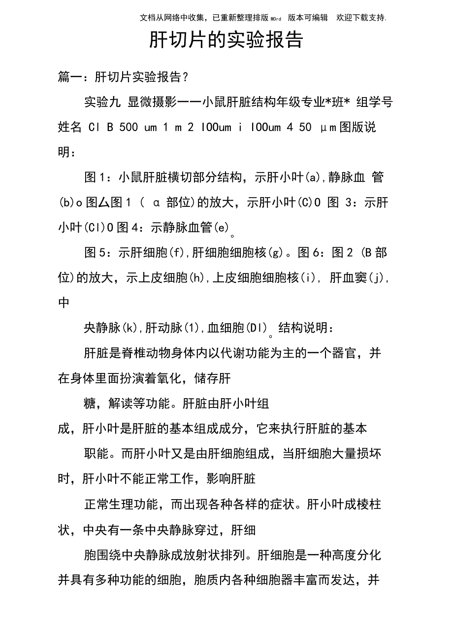 肝切片的实验报告doc_第1页