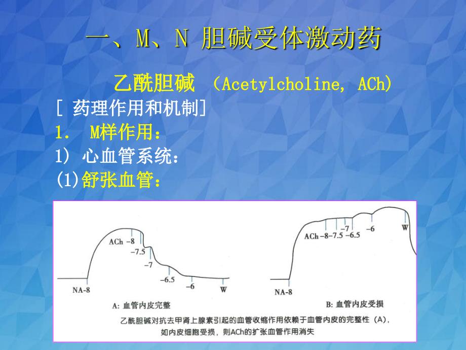 胆碱受体激动药和阻断药_第4页