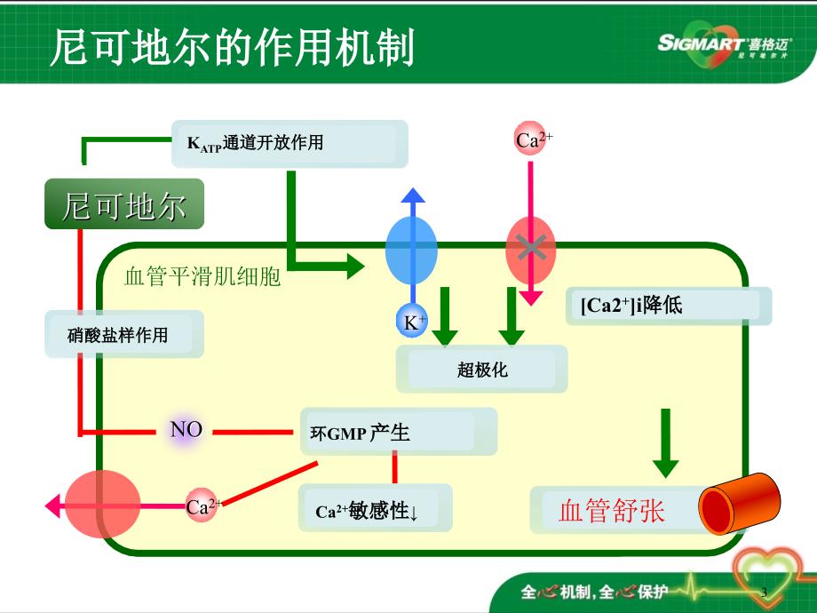 有关尼可地尔指南中的推荐_第3页