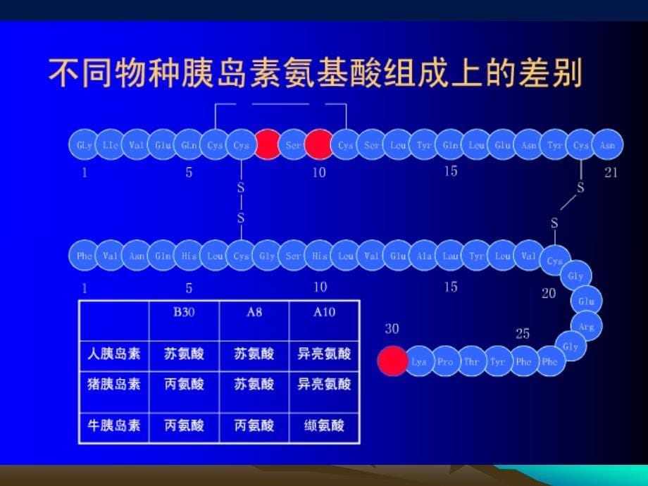 第37章胰岛素_第5页