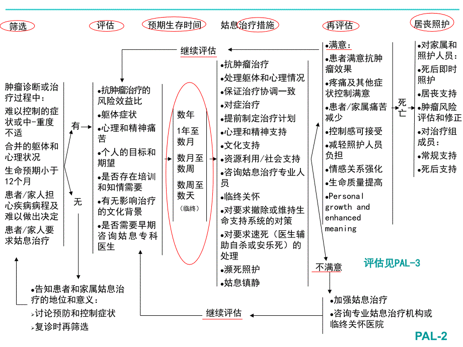 nccn版肿瘤姑息治疗指南_第3页