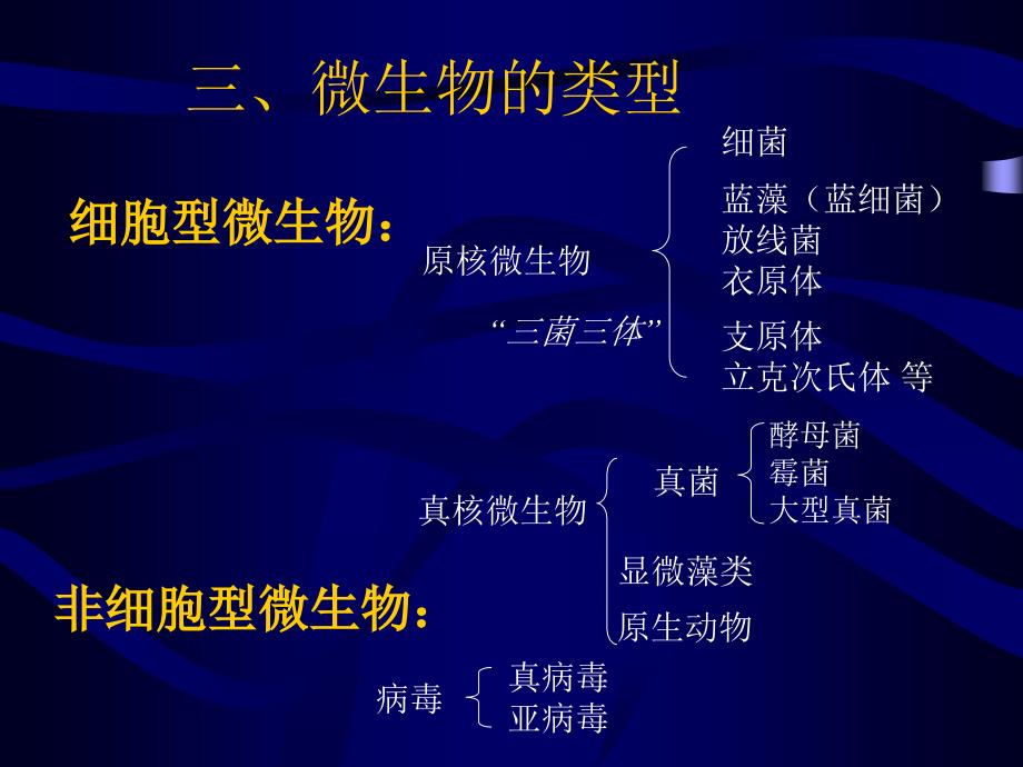 全国生物科奥赛-微生物_第4页