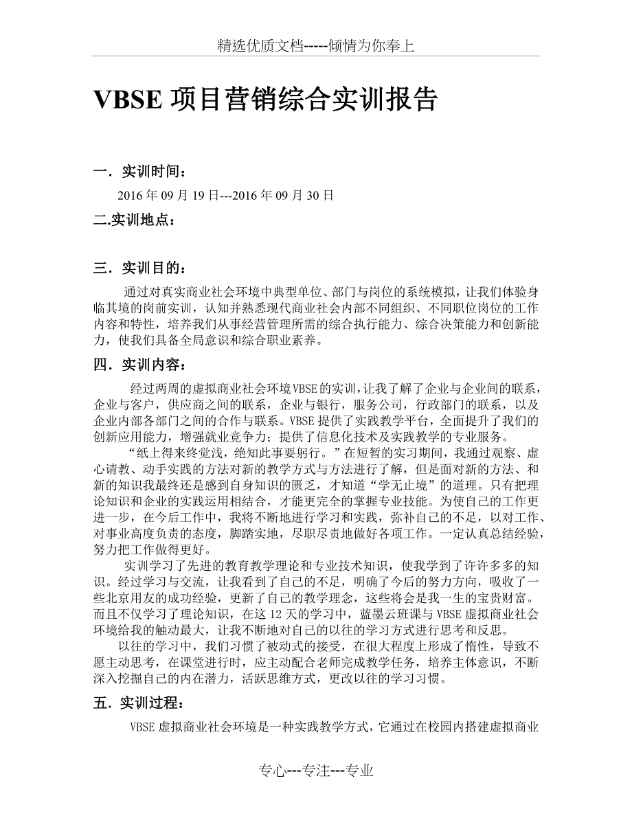 VBSE项目营销综合实训报告_第1页