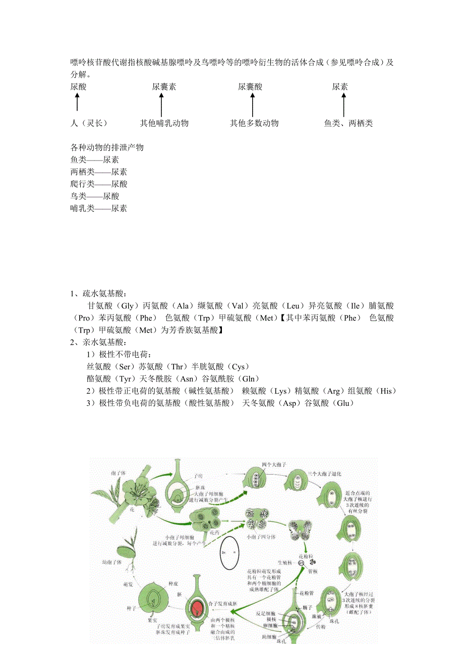 奥赛生物笔记.doc_第2页