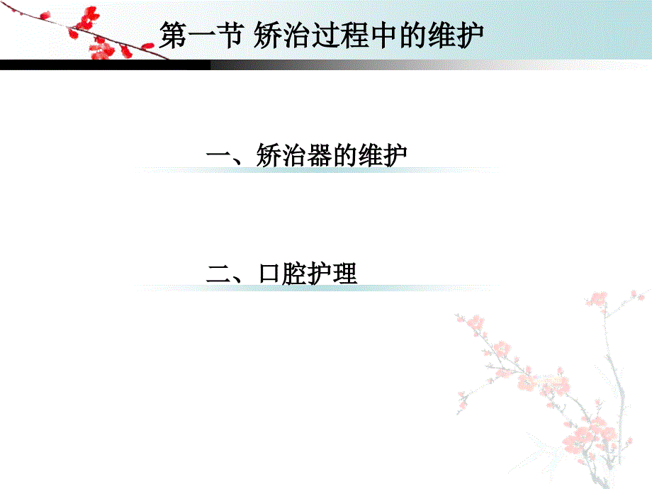 矫治过程中的维护及矫治后的保持_第4页