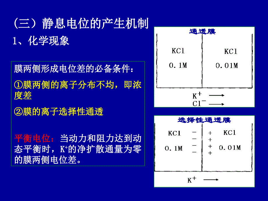 细胞的生物电现象PPT课件_第4页