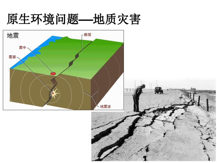 七年级 环境教育环境问题_第4页