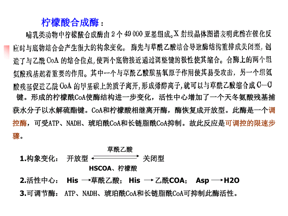 第三节糖的有氧氧化与三羧酸循环_第3页