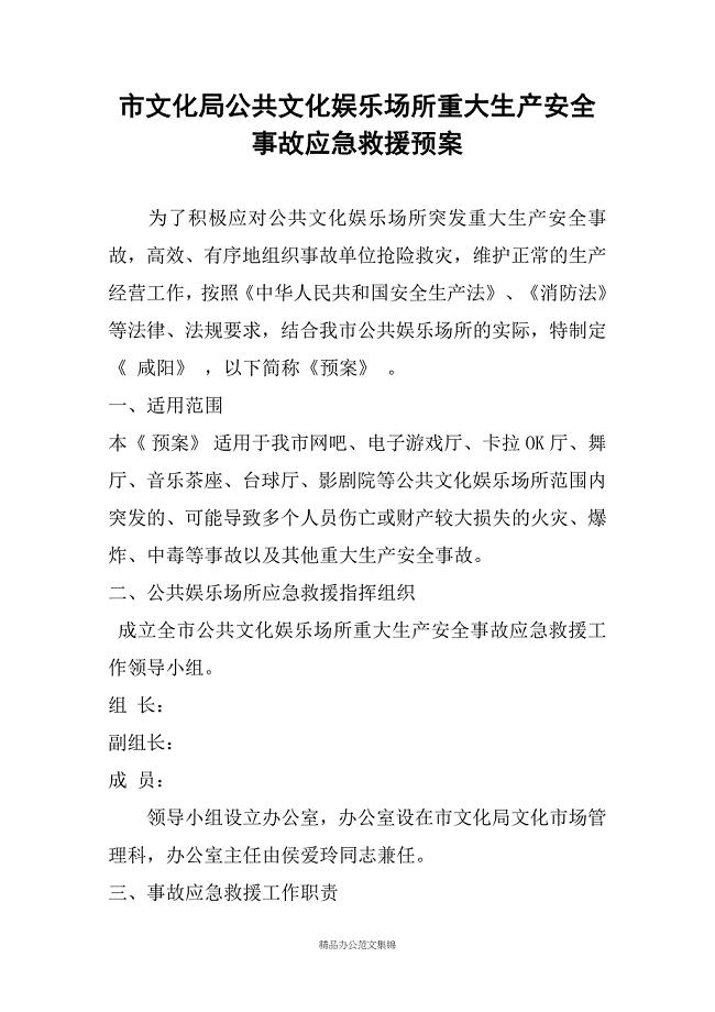 市文化局公共文化娱乐场所重大生产安全事故应急救援预案