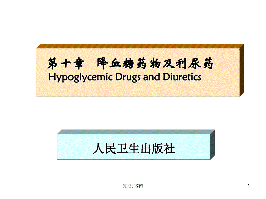 10药物化学第十章降血糖药物及利尿药稻谷书苑_第1页