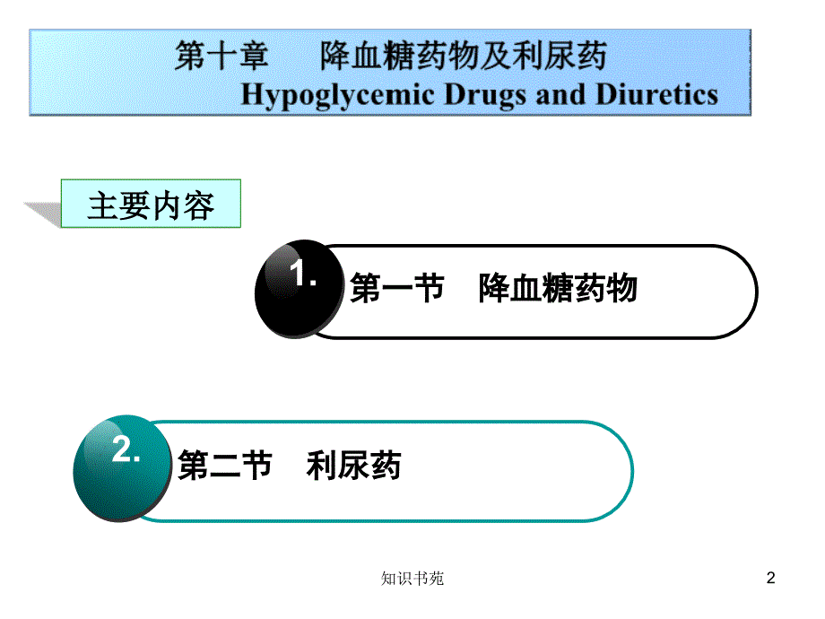 10药物化学第十章降血糖药物及利尿药稻谷书苑_第2页