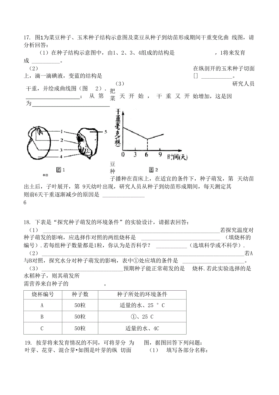 种子的萌发和芽的发育_第3页