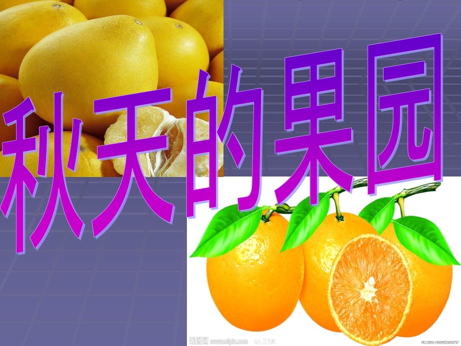 三年级秋景习作秋天的果园_第1页