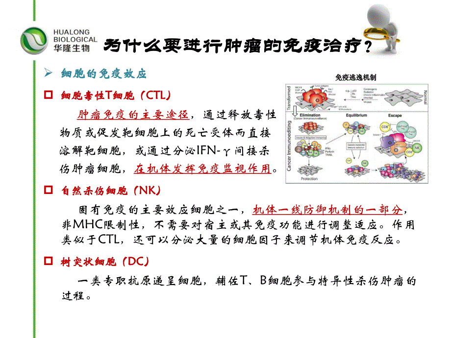 肿瘤免疫细胞治疗临床应用(_流程)_第2页