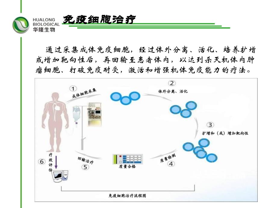 肿瘤免疫细胞治疗临床应用(_流程)_第4页