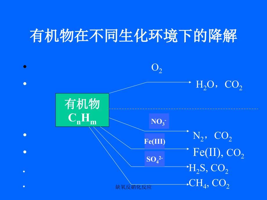 缺氧反硝化反应课件_第3页