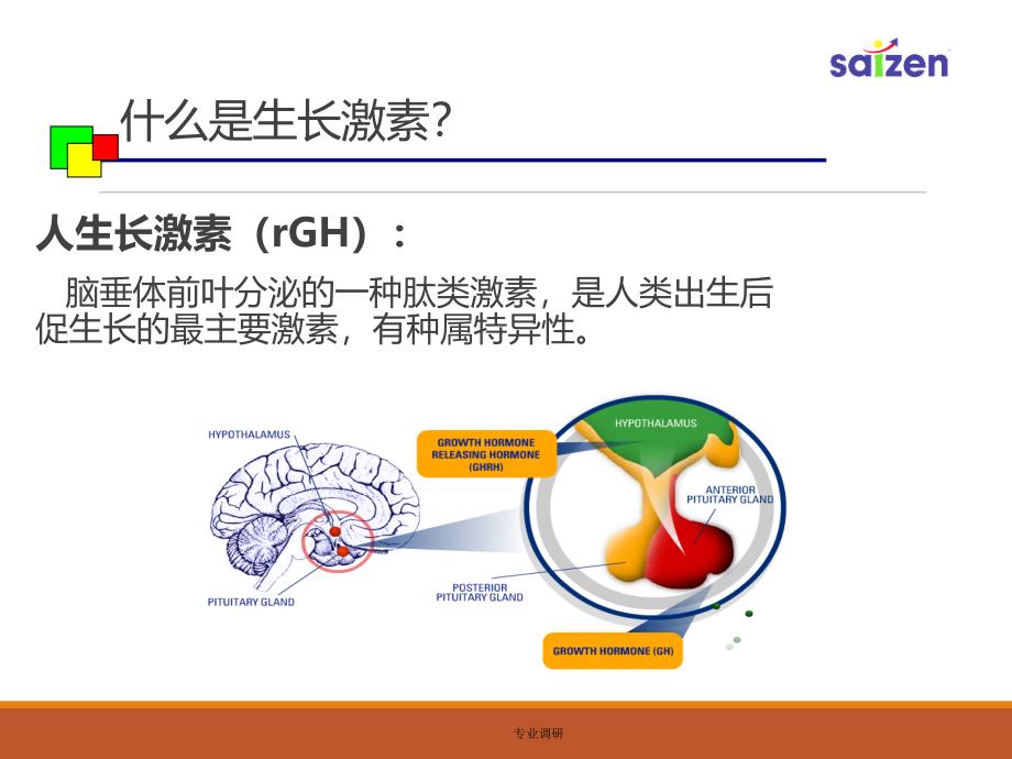 生长激素知识#严选材料_第3页