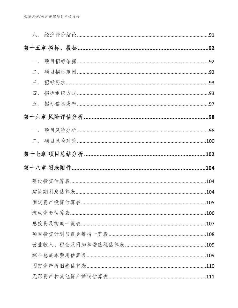 长沙电容项目申请报告（模板范文）_第5页